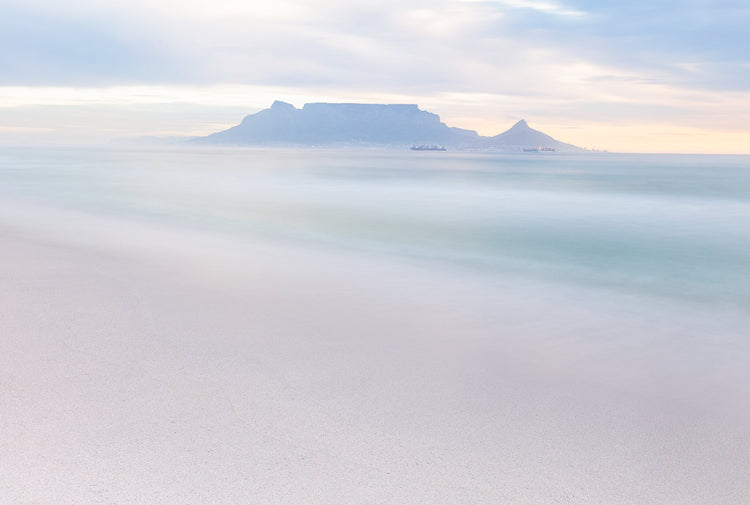 Velvet View | Table Mountain